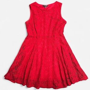 Red Lace A-Line / Skater Dress (Size 10 Petite) - Perfect Christmas Dress!